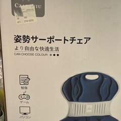 姿勢サポートチェアーの画像