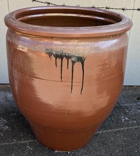 水瓶