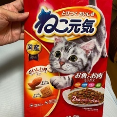 猫ちゃんの餌
