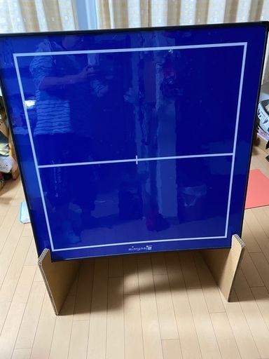 バドミントンの壁打ち用ボード(mintonの壁) ミントンの壁 バドミントン