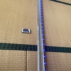 LEDライトの画像