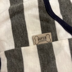 ペット用　タンクトップ　ストライプ　の画像