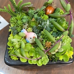 取り引き中)セダム寄せ植え ピンクの鳥