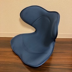 骨盤 姿勢ケア style smart スタイルスマート ネイビー