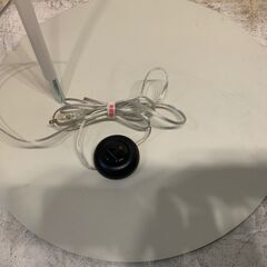 ◆🔶お持ち帰り限定・特別価格🔶◆ 【美品】FOSCARINI(フォスカリーニ) Twiggy floor ツィギー フロアランプの画像