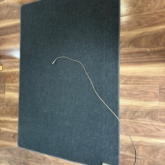 ホットカーペット
