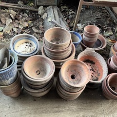 植木鉢(陶器)の画像