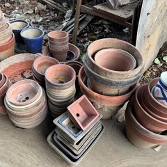 植木鉢(陶器)の画像