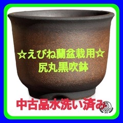 ☆中古品水洗い済み！えびね蘭盆栽専用尻丸黒吹き円形陶器小品小さい...