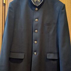 中学校、学生服、170cm