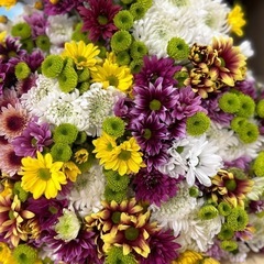 菊の花束　自家製　ハウスで育てたお花ミックス！ボリューム満点の画像