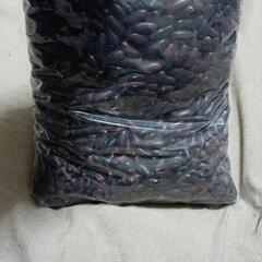 豆の画像