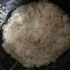 【新米１】玄米　３０ｋｇ　新米（２０２４年収穫）売ります。