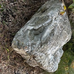 庭石　石　　運べる方のみの画像