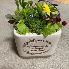 取り引き中)セダム、多肉植物寄せ植え 黄色い鳥