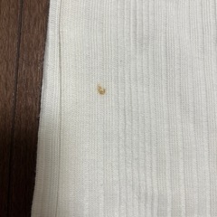 Tシャツの画像