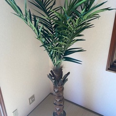 造花 ヤシの木の画像