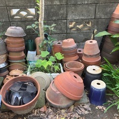 【終了】植木鉢 各種 取りに来ていただける方