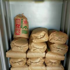 令和5年産　あけぼの　30キロ