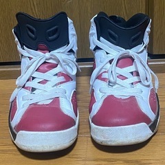 靴　スニーカー　25センチの画像