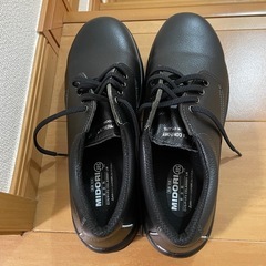 今年中に！来年になったら売りに行きます。値下げしました！　ミドリ...