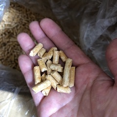 猫砂ペレット　キャンプの燃料の画像