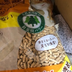 猫砂ペレット　キャンプの燃料の画像