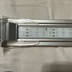 LEDライト約
40cmの画像