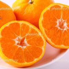 ①今年も🍊甘くて美味しい～🍊始まりました🚩🍊😃🍊