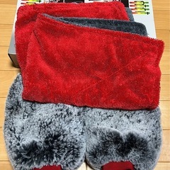 コードレス高圧洗浄機と洗車道具の画像