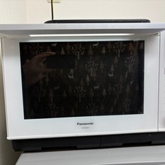 【ジャンク品】Panasonic ビストロNE-BS607