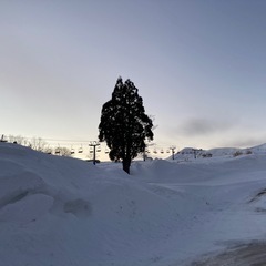 いっしょにスノボーすべりませんか？🏂✨の画像