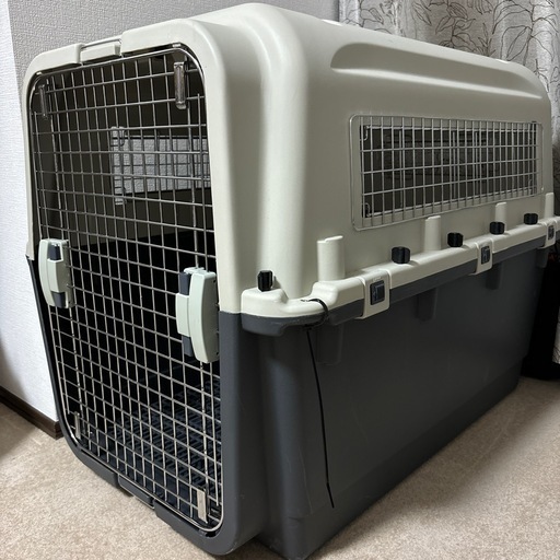 犬航空ゲージ