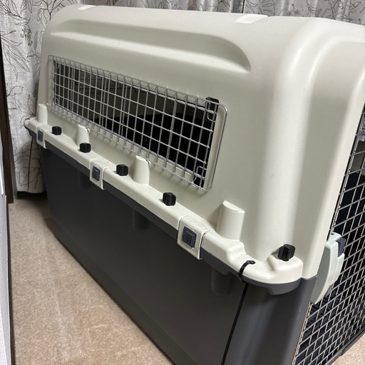 犬航空ゲージ