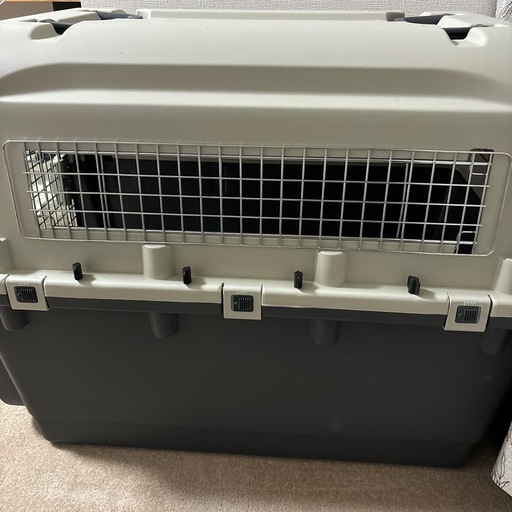 犬航空ゲージ