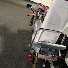 専用の画像