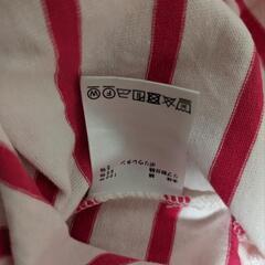 【未着用】Edit  sheen  レディース　ボーダー　カットソーの画像