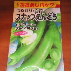 スナップエンドウ　種