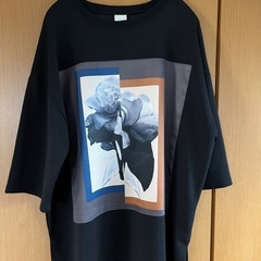 Casper John  サブリメイショントランスファーグラフィ...