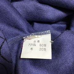 青紫色トップスの画像