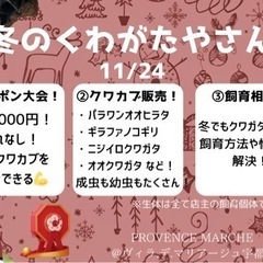 11/24 クワガタガラポンイベント！@ヴィラ・デ・マリアージュ宇都宮