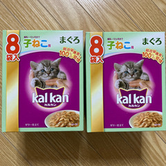 カルカン　子ねこ用　まぐろゼリー仕立て15袋