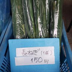 値下げ⭐漬け物大根、野菜販売の画像