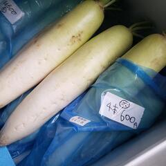 値下げ⭐漬け物大根、野菜販売