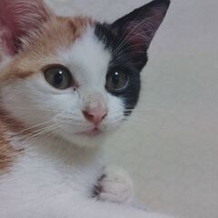 沢山のお問い合わせありがとうございます！トライアルが決まりました