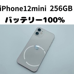 iPhone12mini 256GB