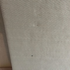 い草風マット 9枚の画像