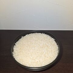 新米！限定！なくなり次第終了！てんたかく81お試し5キロから　受...