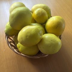 〈今年初収穫！〉カリン約2kgの画像