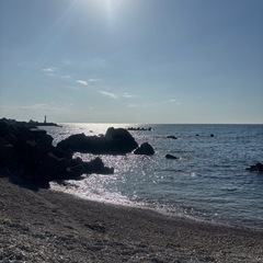 〈今年初収穫！〉カリン約2kgの画像